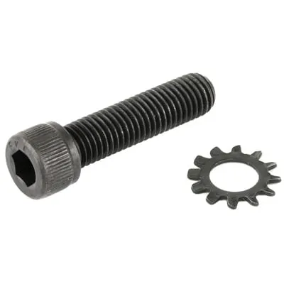Advanced Technology AR-15 Pistol Grip Screw And Star Lock Washer