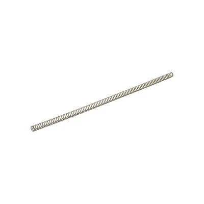 Slide/Recoil Spring, SS