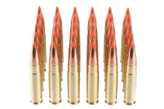 Rainier Munitions 300 BLK 110gr VMAX Comp 30 Rd Bag