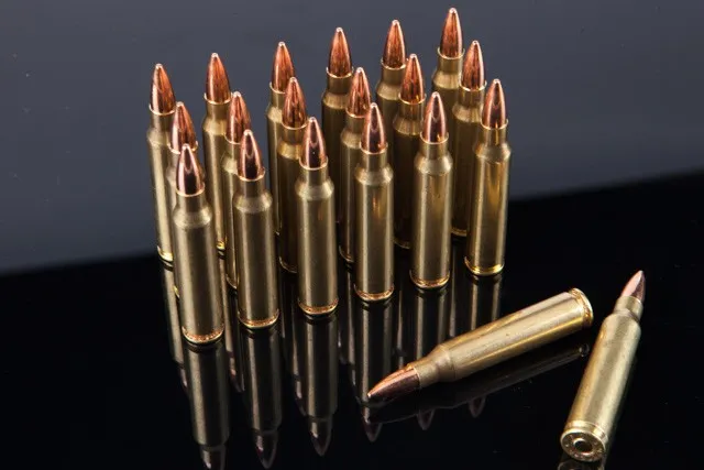 Rainier Munitions .223 Rem 55gr FMJ Match Comp 500 Rd Box