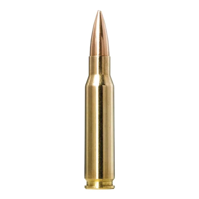 Norma Golden Target Match .308 Win 168 gr BTHP 20rds Rifle Ammo for Target Accuracy