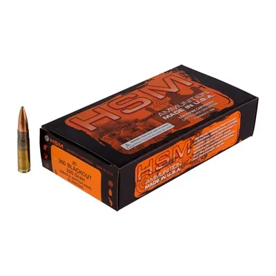 Match 300 AAC Blackout 220gr Hollow Point Boat Tail 20/Box