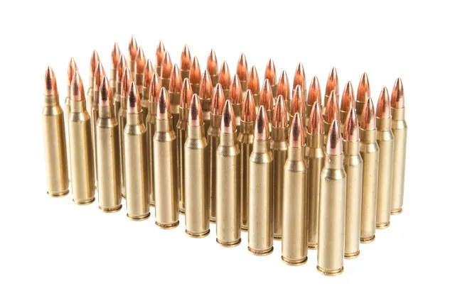 Rainier Munitions .223 Rem 55gr FMJ Comp 50 Rd