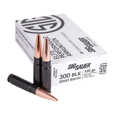Short 300 AAC Blackout 205gr Subsonic Tipped 20/Box