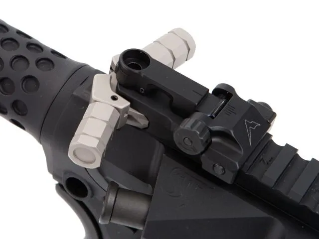 Rainier Arms Back Up Iron Sights