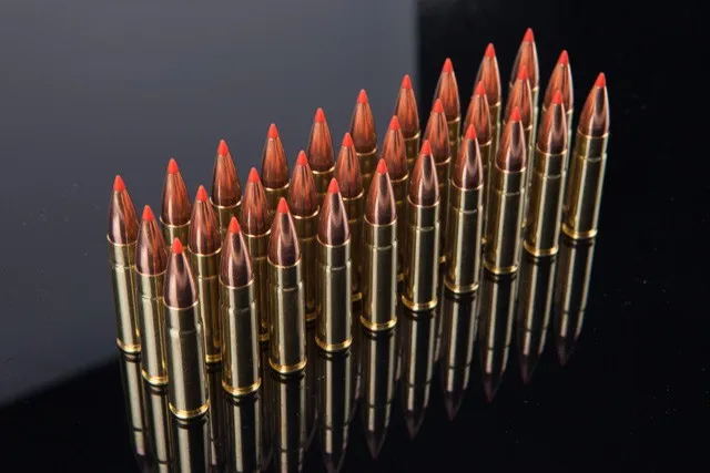 Rainier Munitions 300 BLK 208gr Amax Match Subsonic 30 Rd Bag