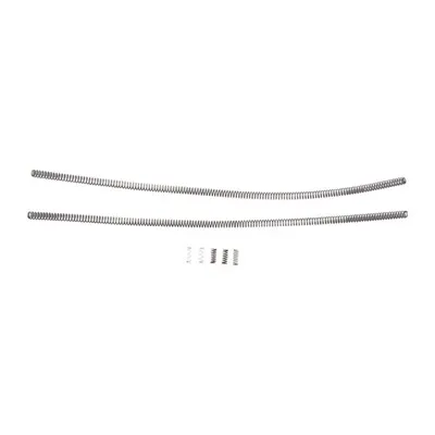 22 ARC Spring Kit