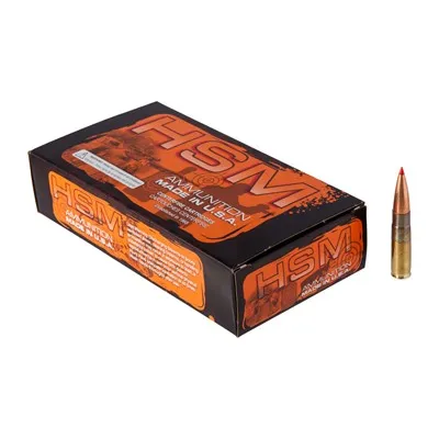 Match 300 AAC Blackout 208gr A-Max 20/Box