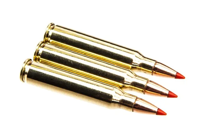 Rainier Munitions .223 Rem 55 grain V-Max Match 50 Rd
