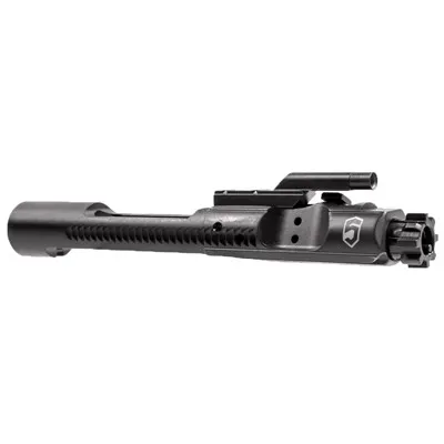 AR-15 Chrome Lined Bolt Carrier Group Black