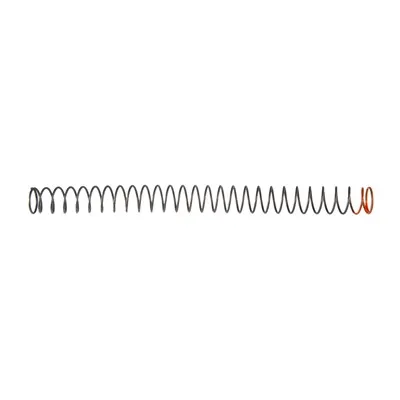 Cs Spring Kit-Xxp Buffer Spring & XP 5-Coil Extractor Spring