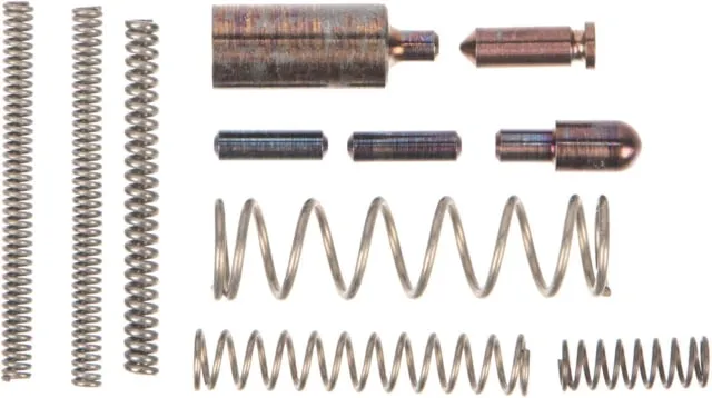 Fortis Manufacturing Enhanced Detent and Spring Kit SS Stainless