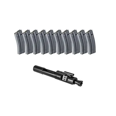 Bolt Carrier Group M16 BCG 5.56x45mm Nitride MP & 10 30-Rd Magazines