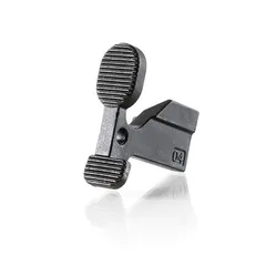 AR-15 Bolt Catch