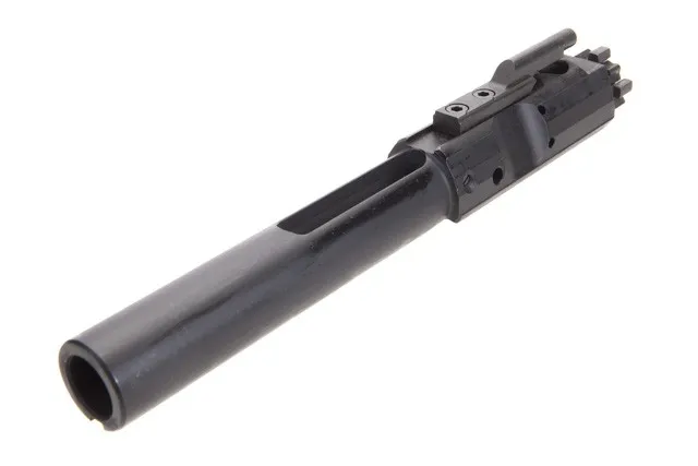 DPMS 308 BCG