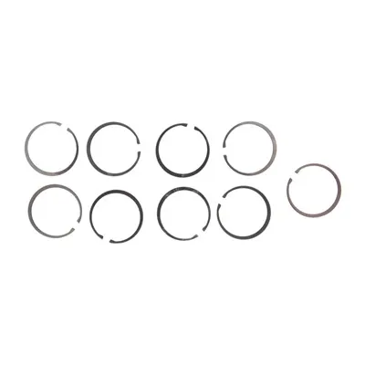 AR .308 Bolt Ring/Gas Ring 9-Pk
