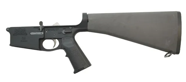 PSA GEN2 PA10 A2 EPT Rifle Lower With Magpul MIAD Grip, Black - 5165449490