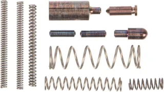 Fortis Manufacturing Enhanced Detent and Spring Kit SS Stainless