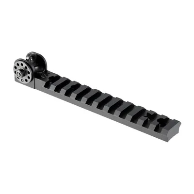 Brn-22 10/22 Rear Sight & Rail