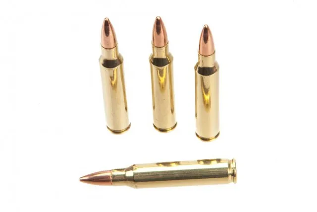 Rainier Arms Munitions 223 Rem 62gr FMJ Match-Comp 50 Rd Box