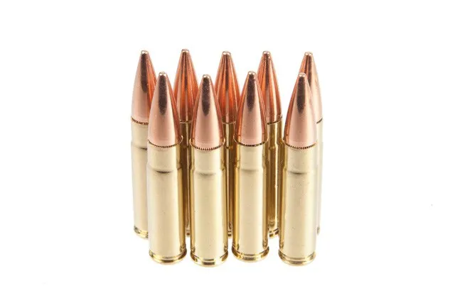 Rainier Munitions 300BLK 147gr FMJ MATCH COMP- BT 30rds