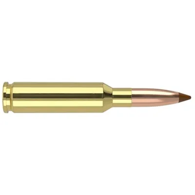6.5mm Creedmoor 120gr Ballistic Tip 20/Box
