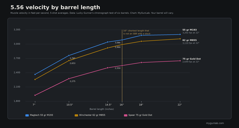 Line chart of 5.56 muzzle velocity by barrel length from 7 to 22 inches for 55, 62 and 75 grain loads, showing gains flattening after 18 inches