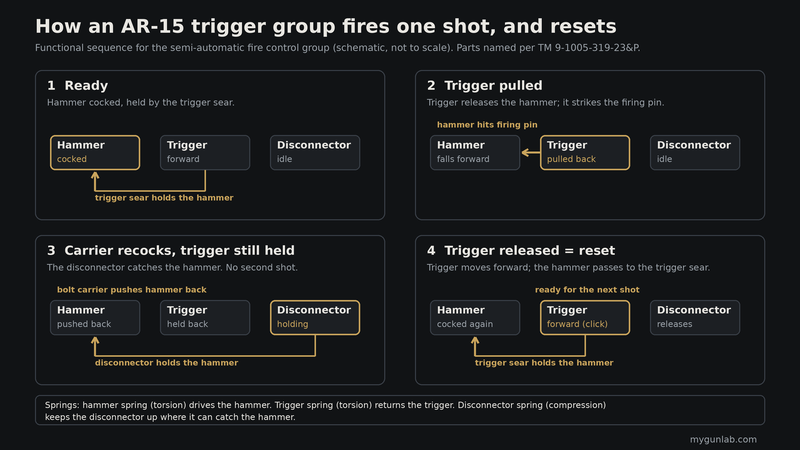 Diagram of the four steps of an AR-15 trigger group: ready, trigger pulled, carrier recocking the hammer while the disconnector holds it, and the trigger reset
