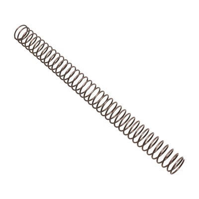 AR-15 Carbine Spring Action