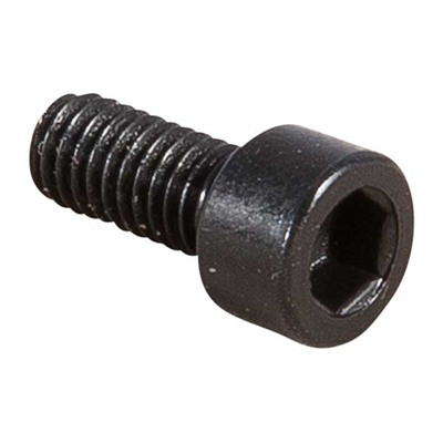 Mini-14 Gas Block Screw Blued